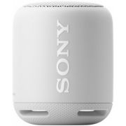 Портативная акустика Sony SRS-XB10 (Серый)